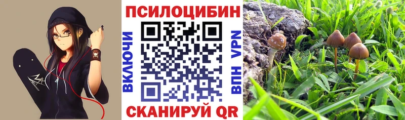 Галлюциногенные грибы мицелий Тара