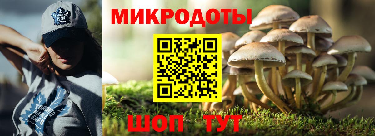 Псилоцибиновые грибы мицелий Тара