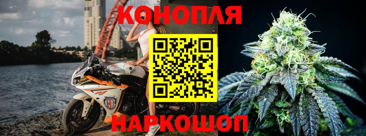 Бошки Шишки White Widow  Вход с VPN  Тара  Каннабис Bruce Banner  Каннабис гибрид 